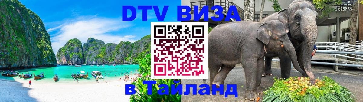 Оформление DTV визы под ключ: стоимость и тарифы, только загранпаспорт - 04.10.2025 